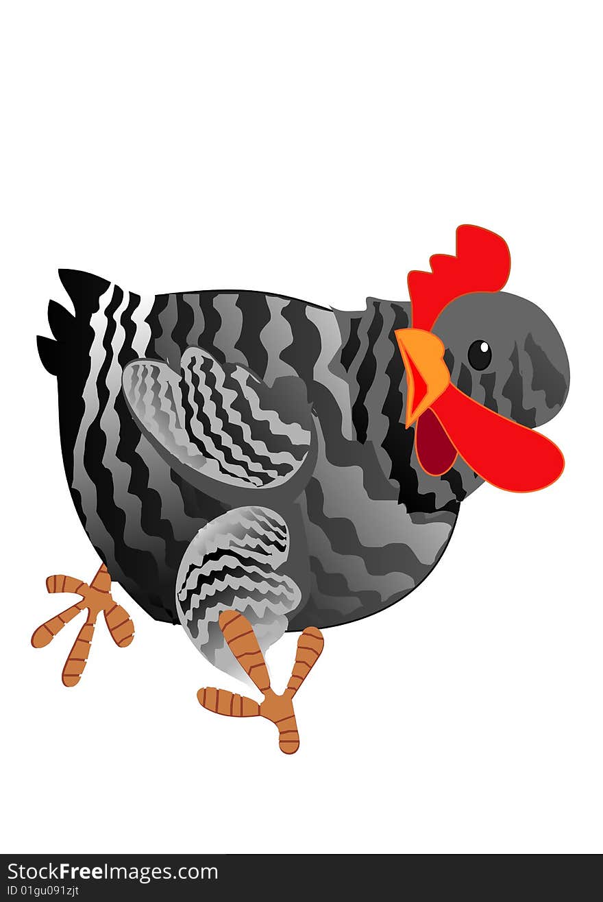 Grey hen