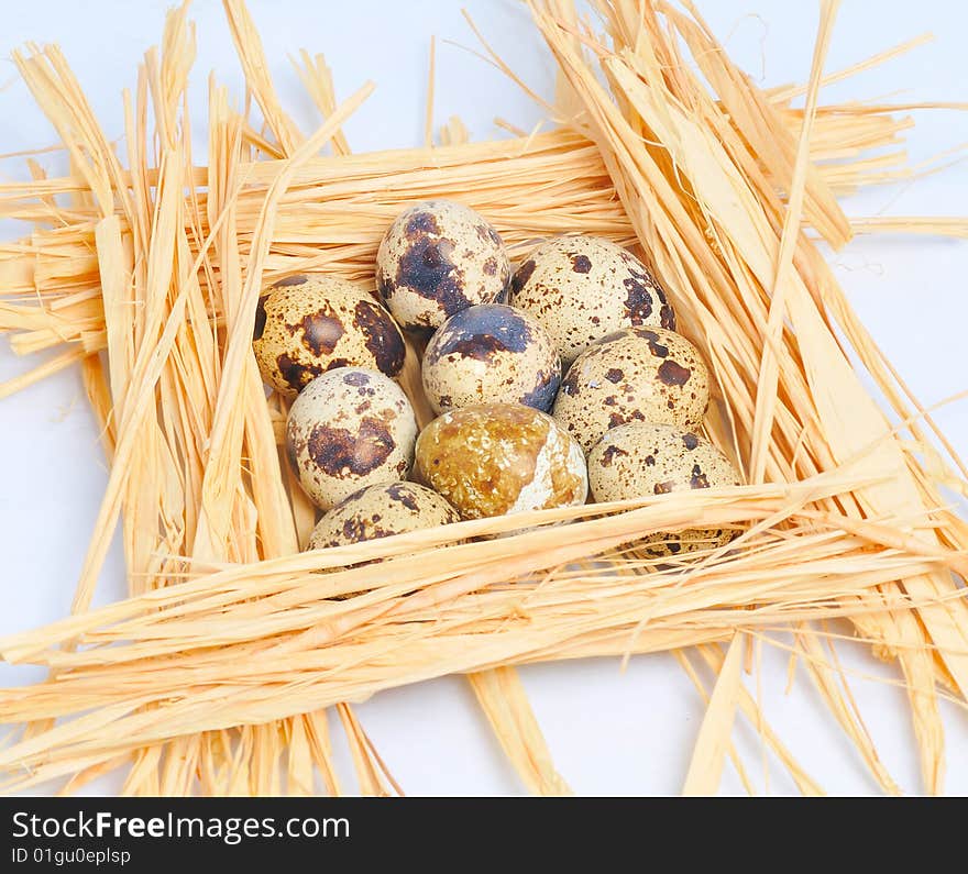 Six spotted eggs lie on straw