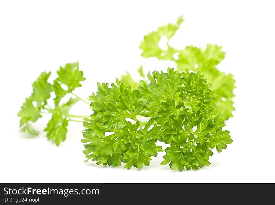 Parsley