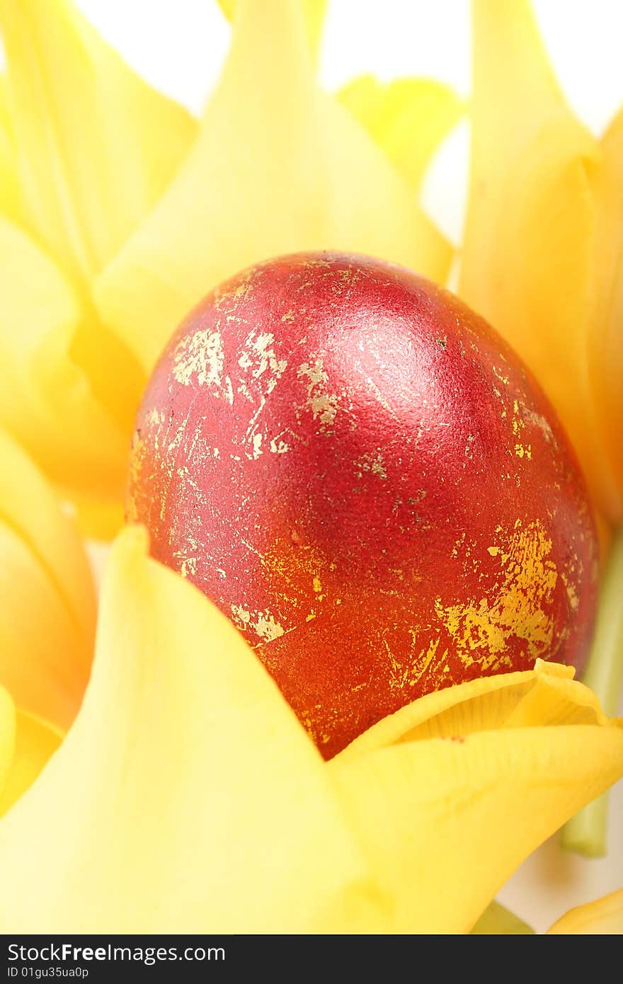 Easter red egg and yellow tulips