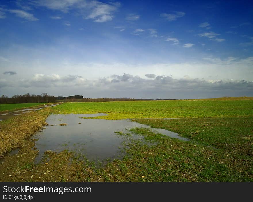 Spring in the Polish field