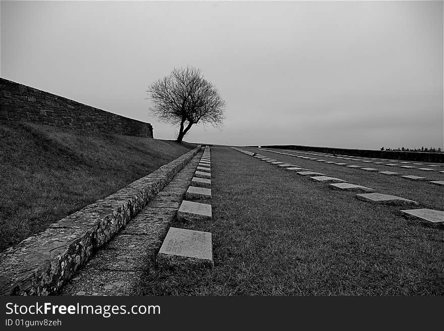 Cemetery 04