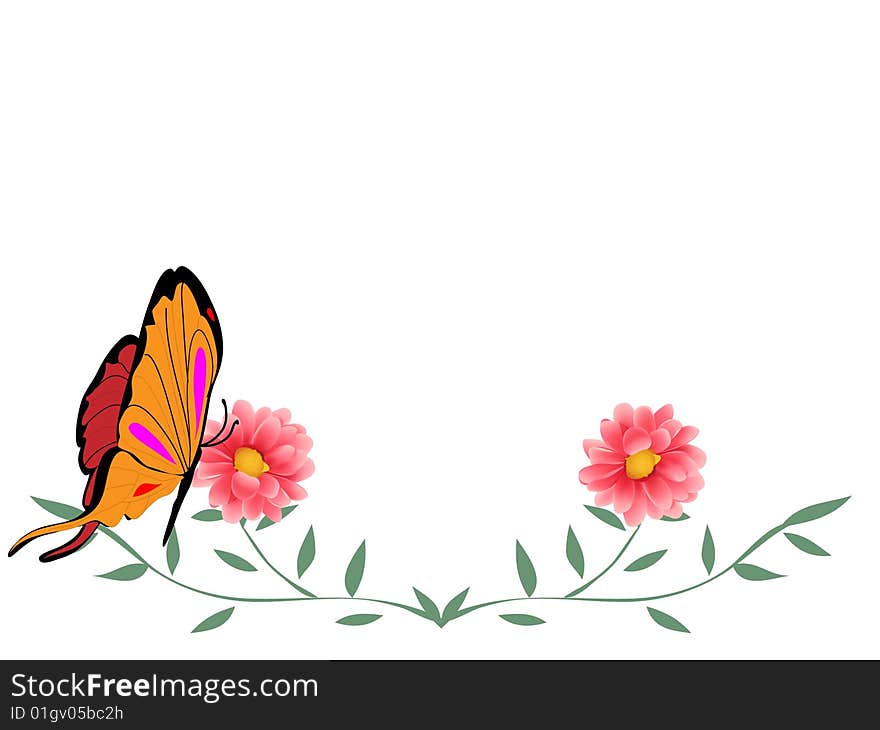 Butterfly and flower