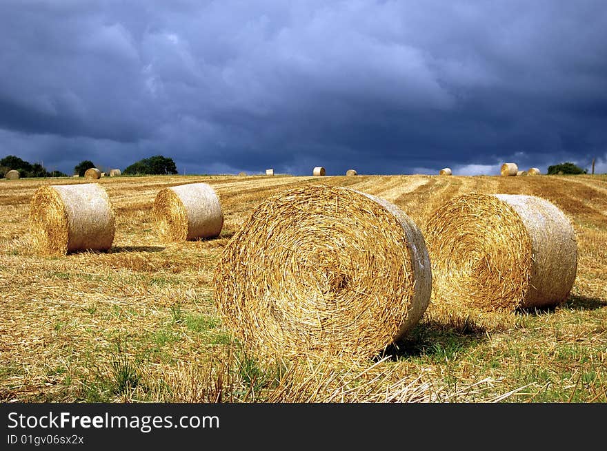 Hay-field in Normandy, France. Hay-field in Normandy, France