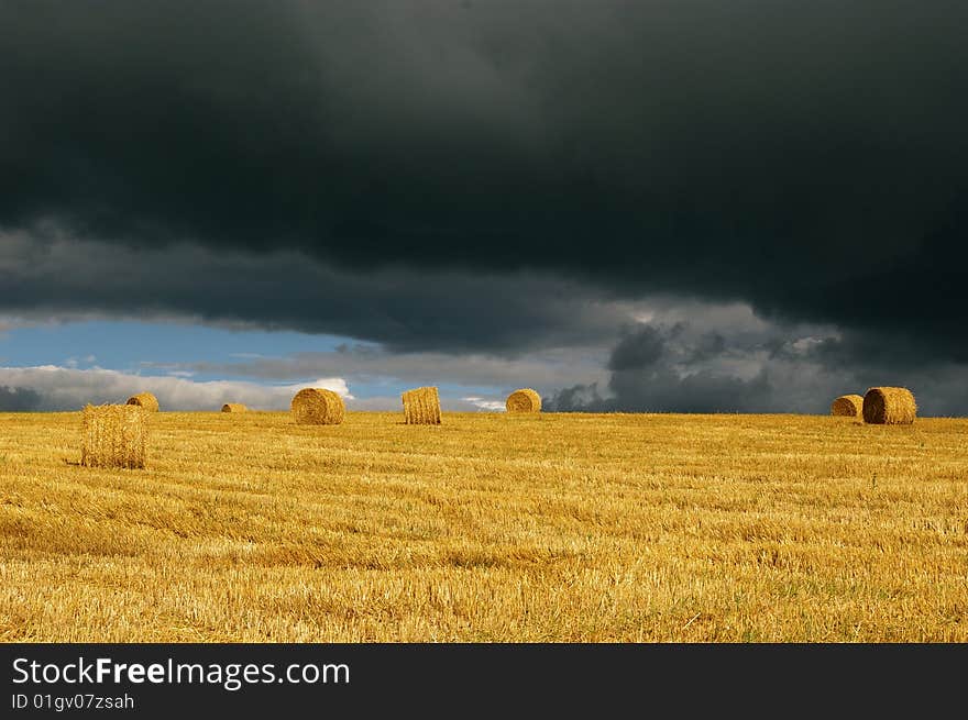 Hay-field in Normandy, France. Hay-field in Normandy, France