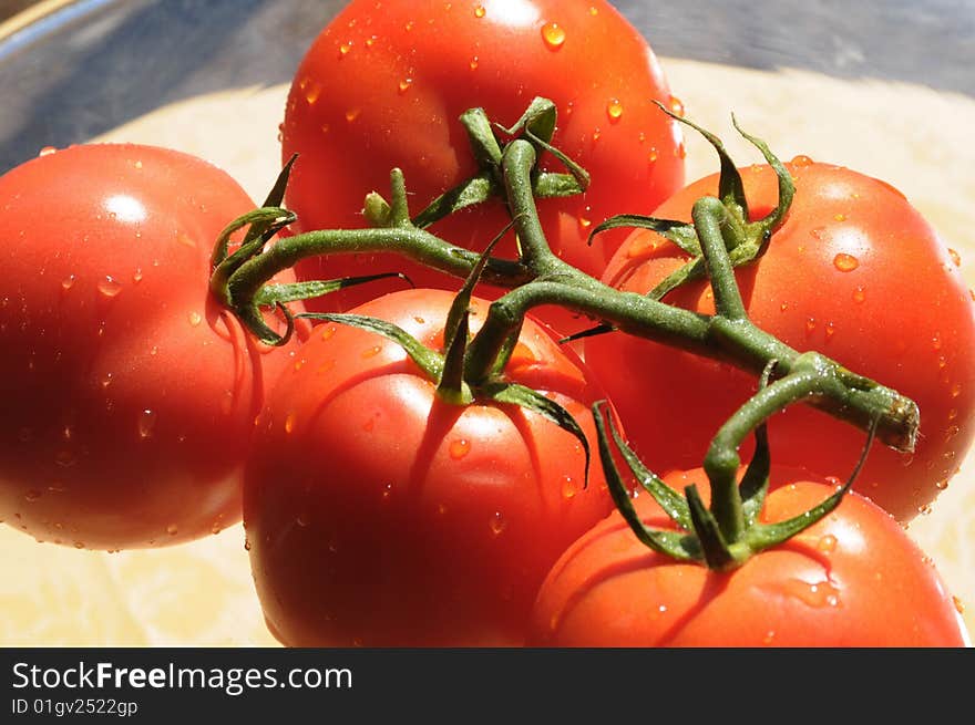 Fresh tomatoes with rain drops outside. Fresh tomatoes with rain drops outside