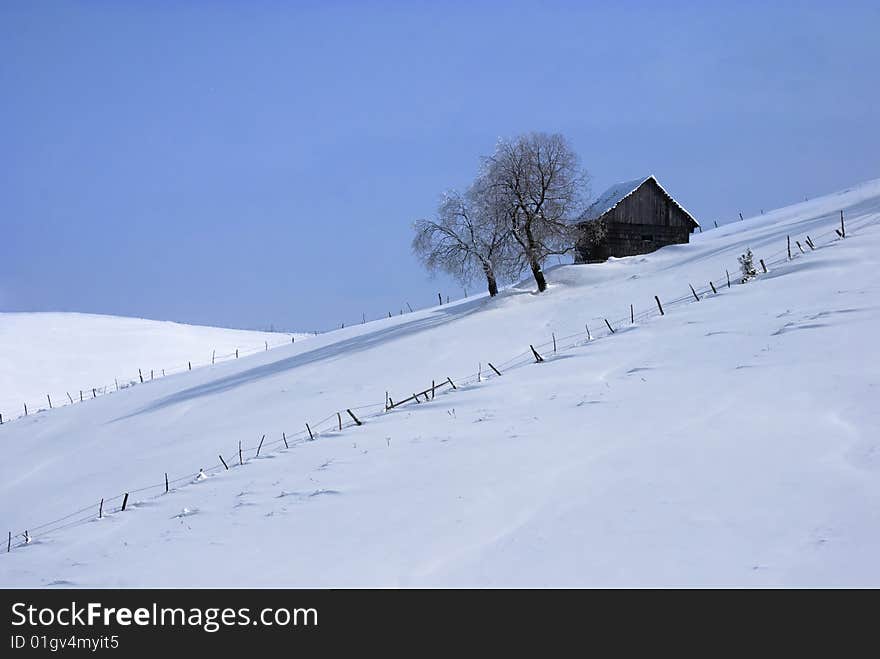 Winter landscape;Trees and house  in winter on a background of blue sky