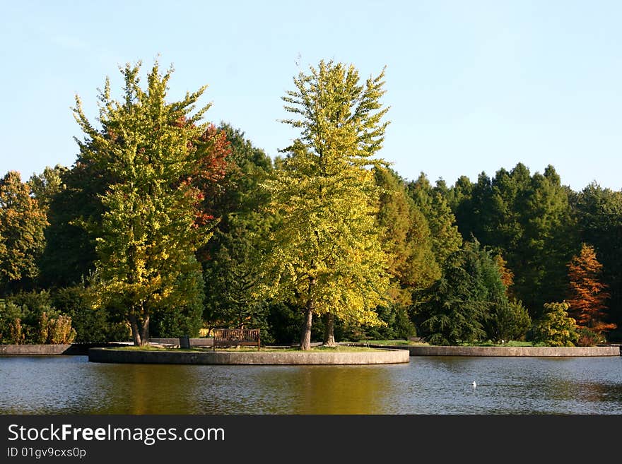 Island with bench and coloured trees in autumn. Island with bench and coloured trees in autumn.