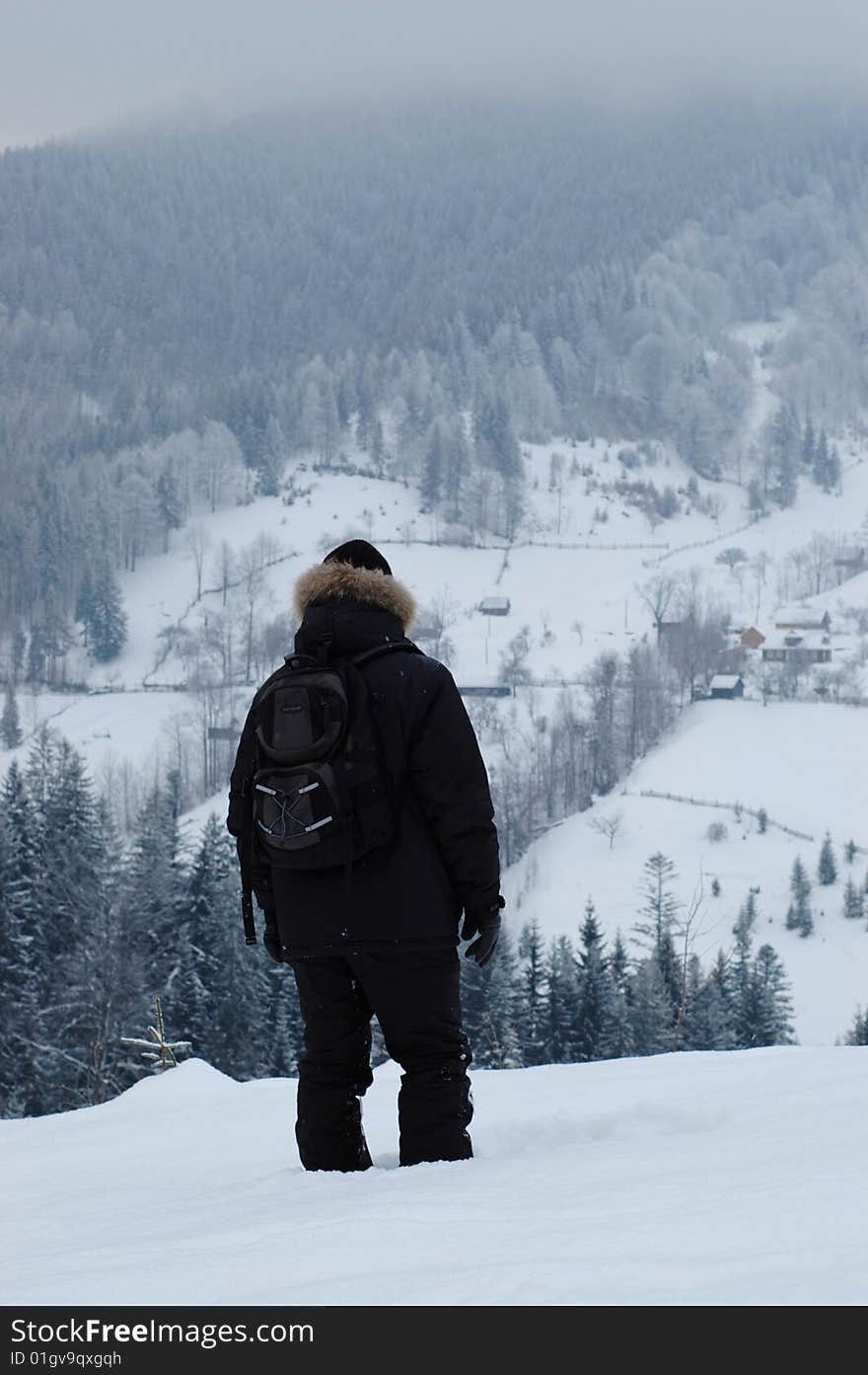 Traveler in the mountains