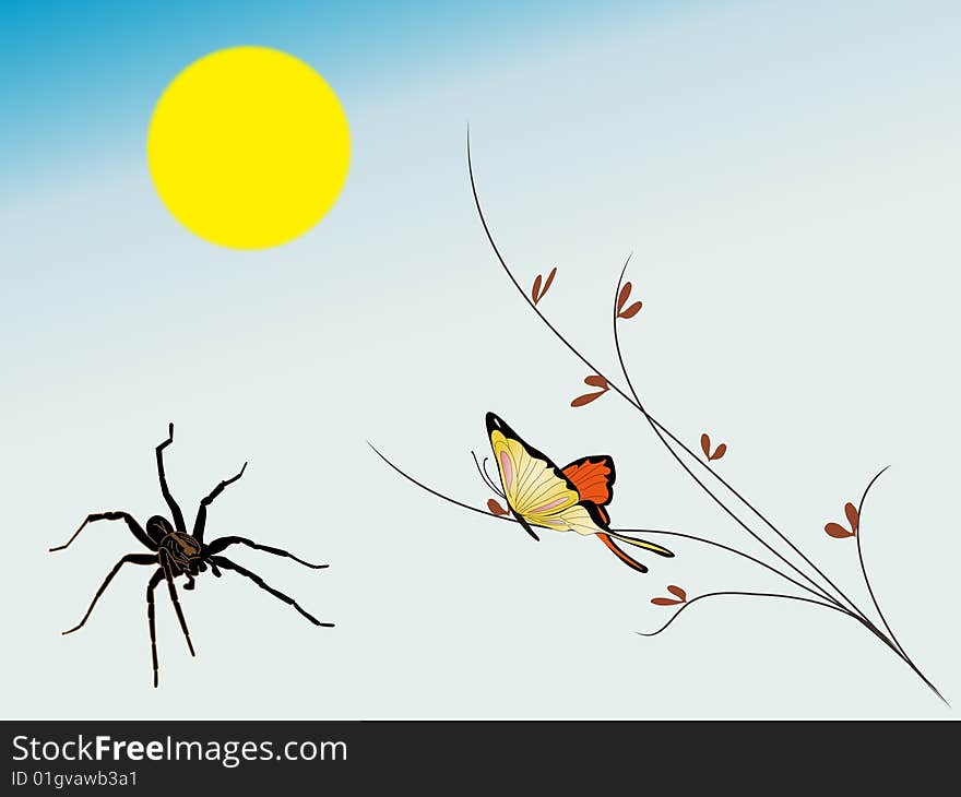 Spider And Butterfly