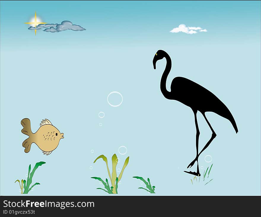 Flamingo And Fish