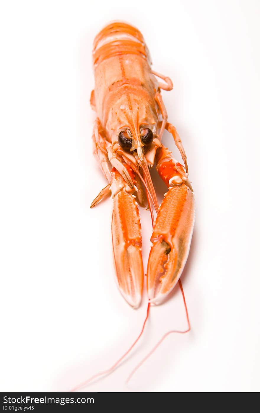 Prepared crayfish on white background. Prepared crayfish on white background