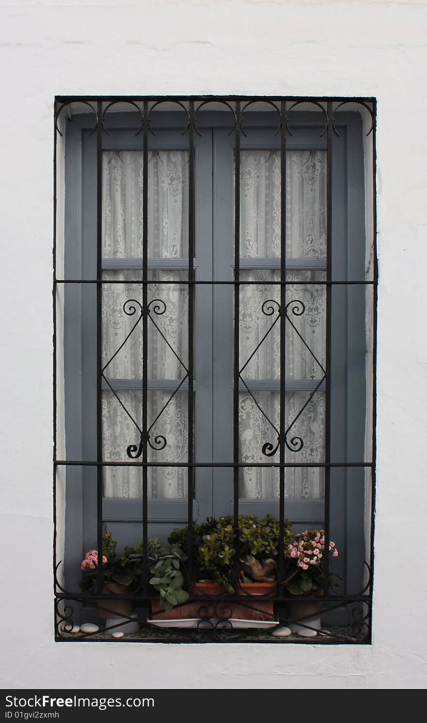 Painted window with pretty lace curtains and pot plants. Painted window with pretty lace curtains and pot plants.