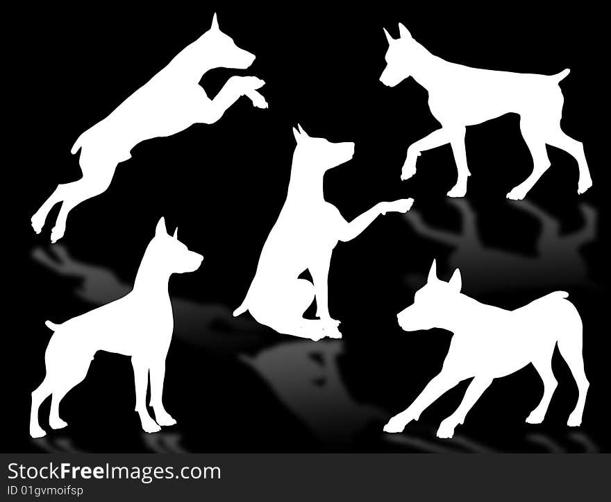 Dog silhouettes in different poses and attitudes. Dog silhouettes in different poses and attitudes