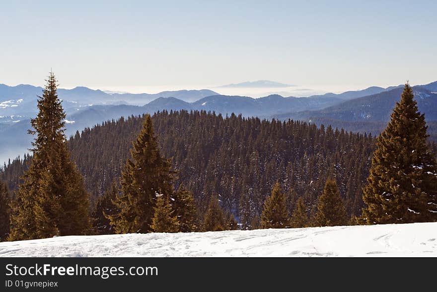 Mountain landscape with green forest