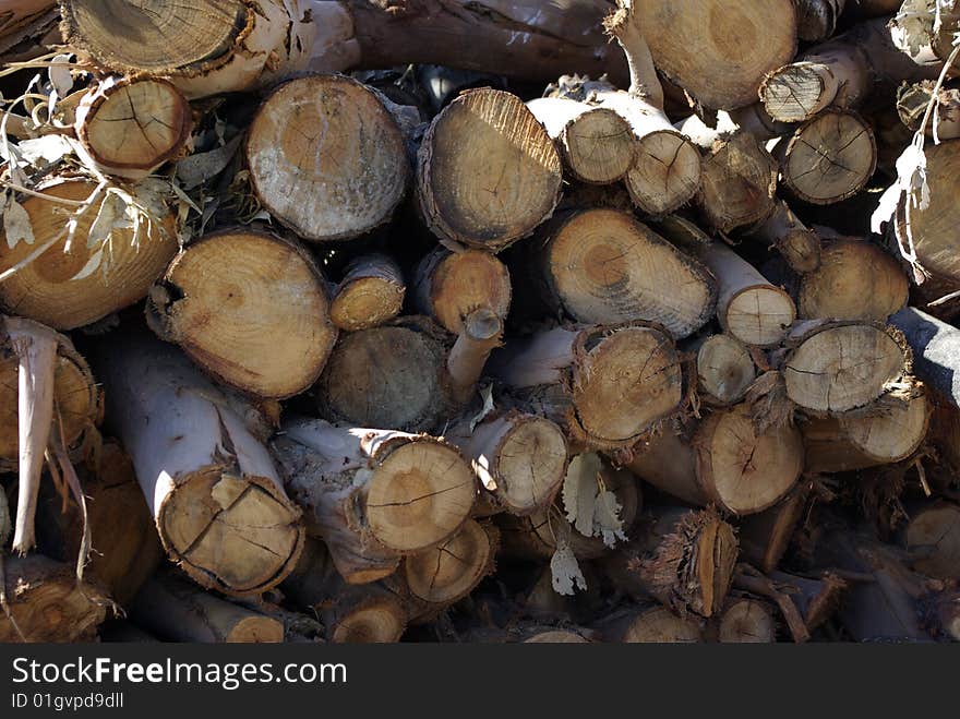 Stack of various pieces of firewood / cut branches. Stack of various pieces of firewood / cut branches