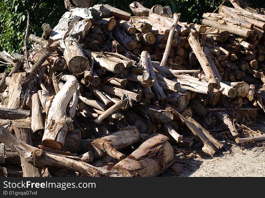 Stack of various pieces of firewood / cut branches. Stack of various pieces of firewood / cut branches