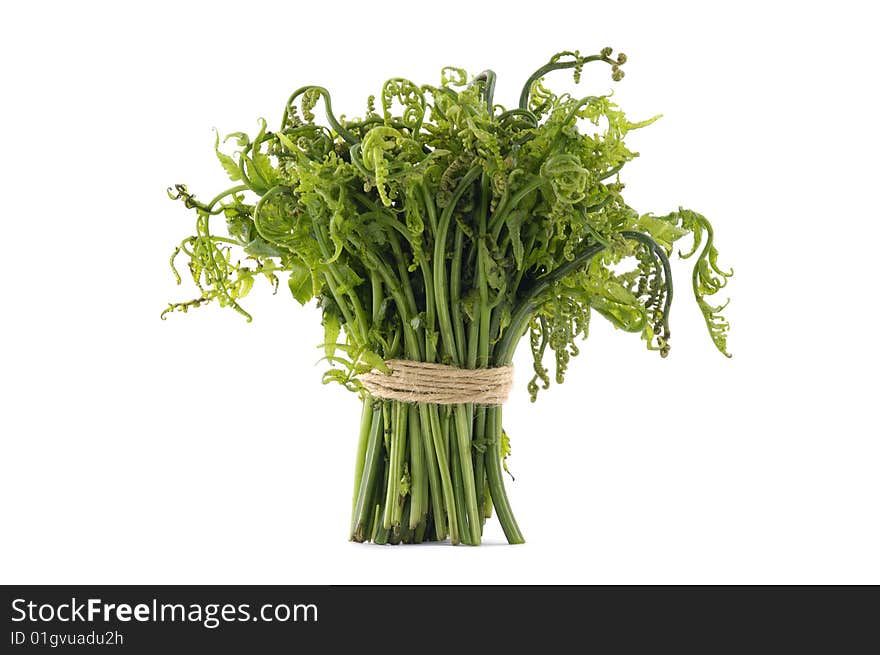 Fresh celery stalks isolated over white. Fresh celery stalks isolated over white