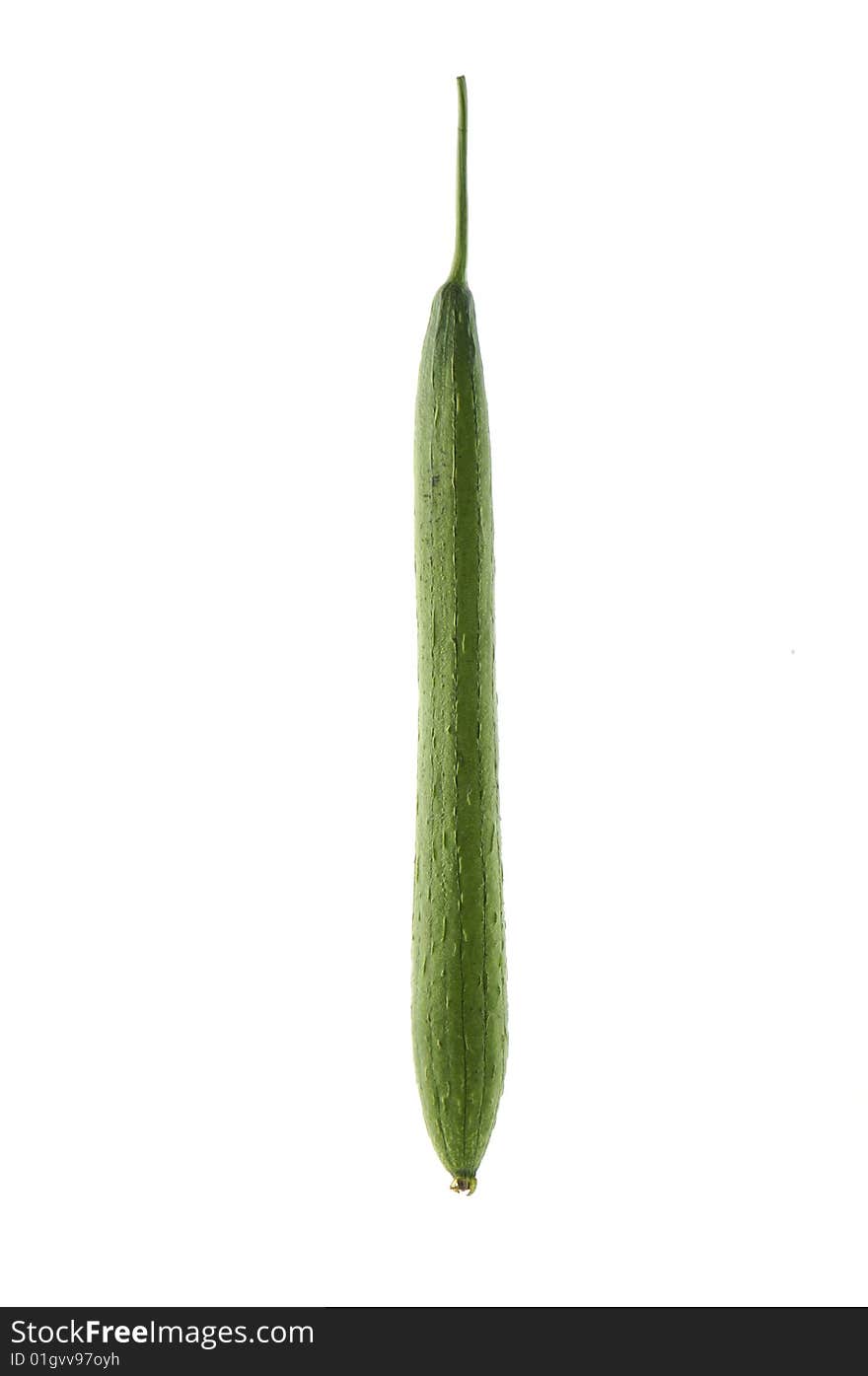 Vegetable