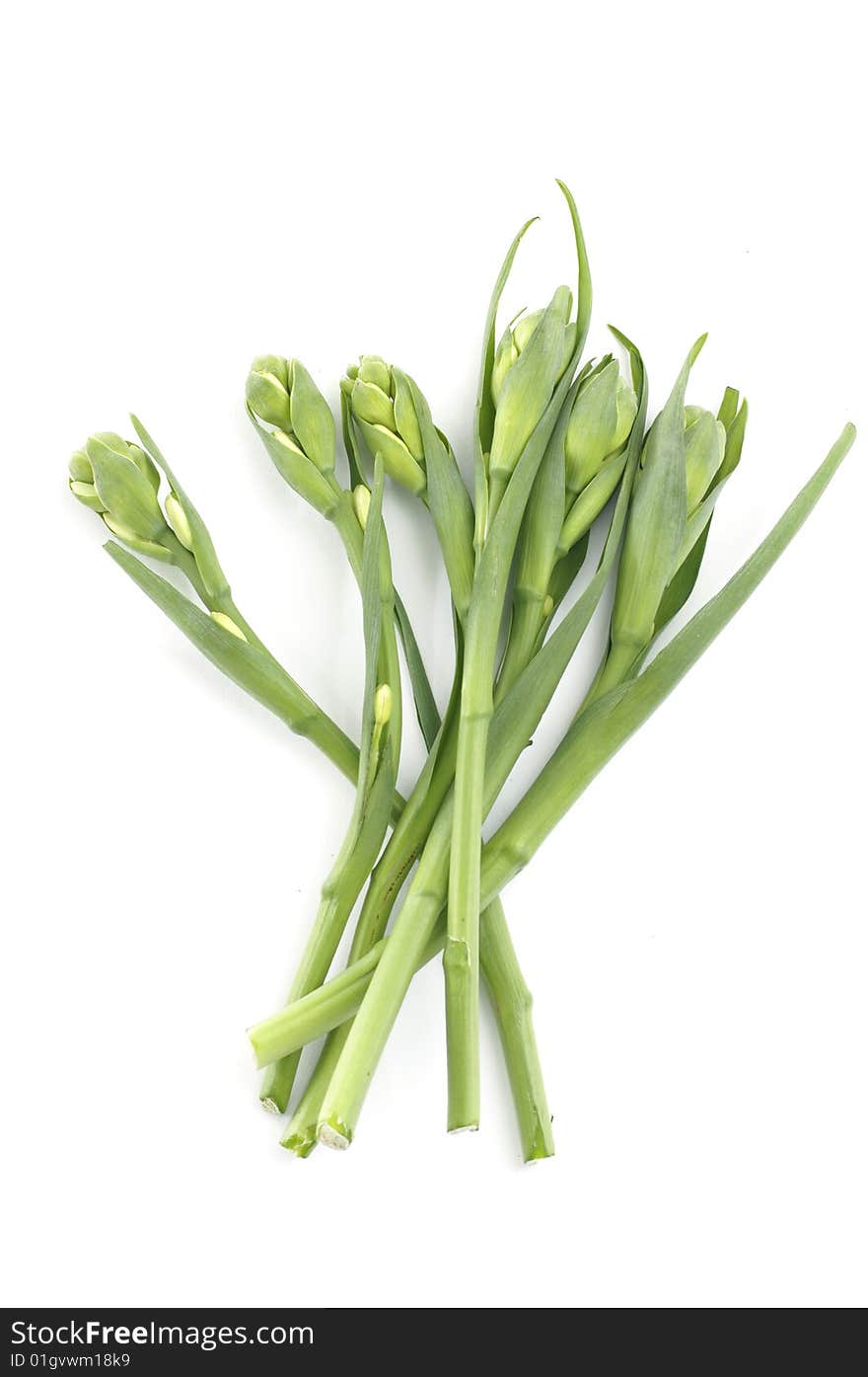 Fresh asparagus on white background. Fresh asparagus on white background