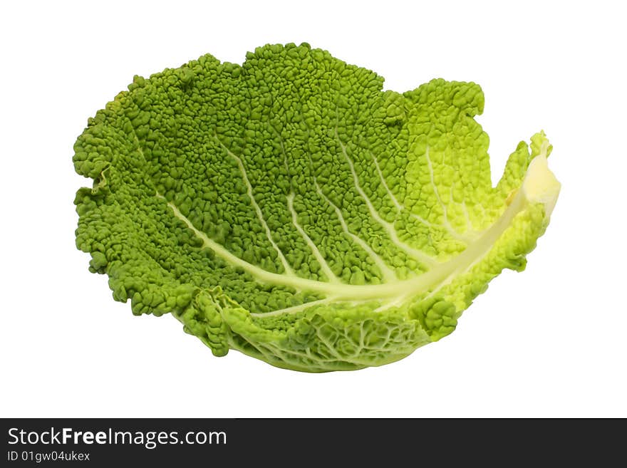 Cabbage leaf on a white background