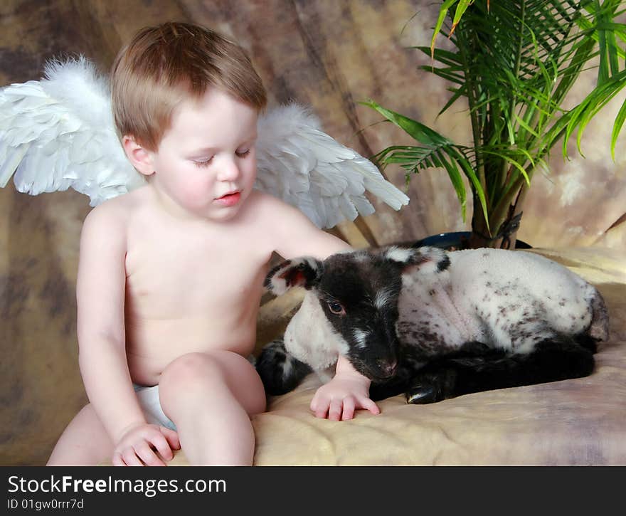 Little Angel looking down at his little pet lamb. Little Angel looking down at his little pet lamb