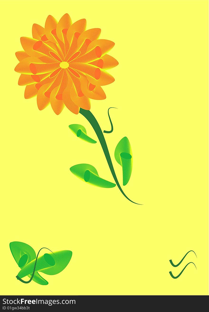 Orange flower on the yellow background