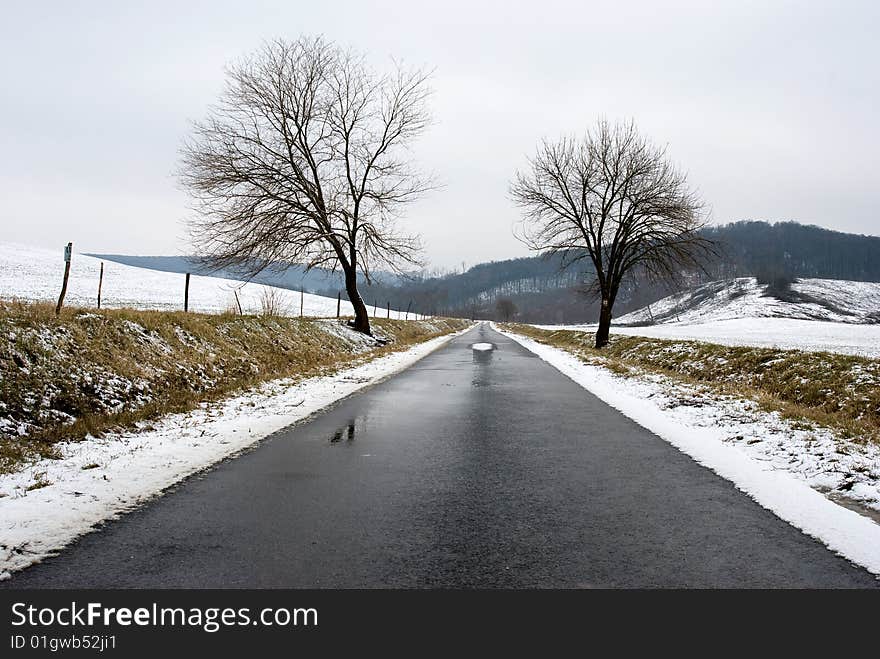 Road into the winter