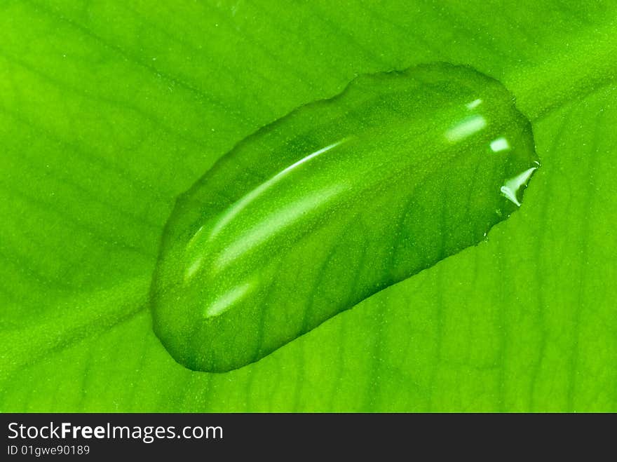 Green sheet background with raindrops. close up