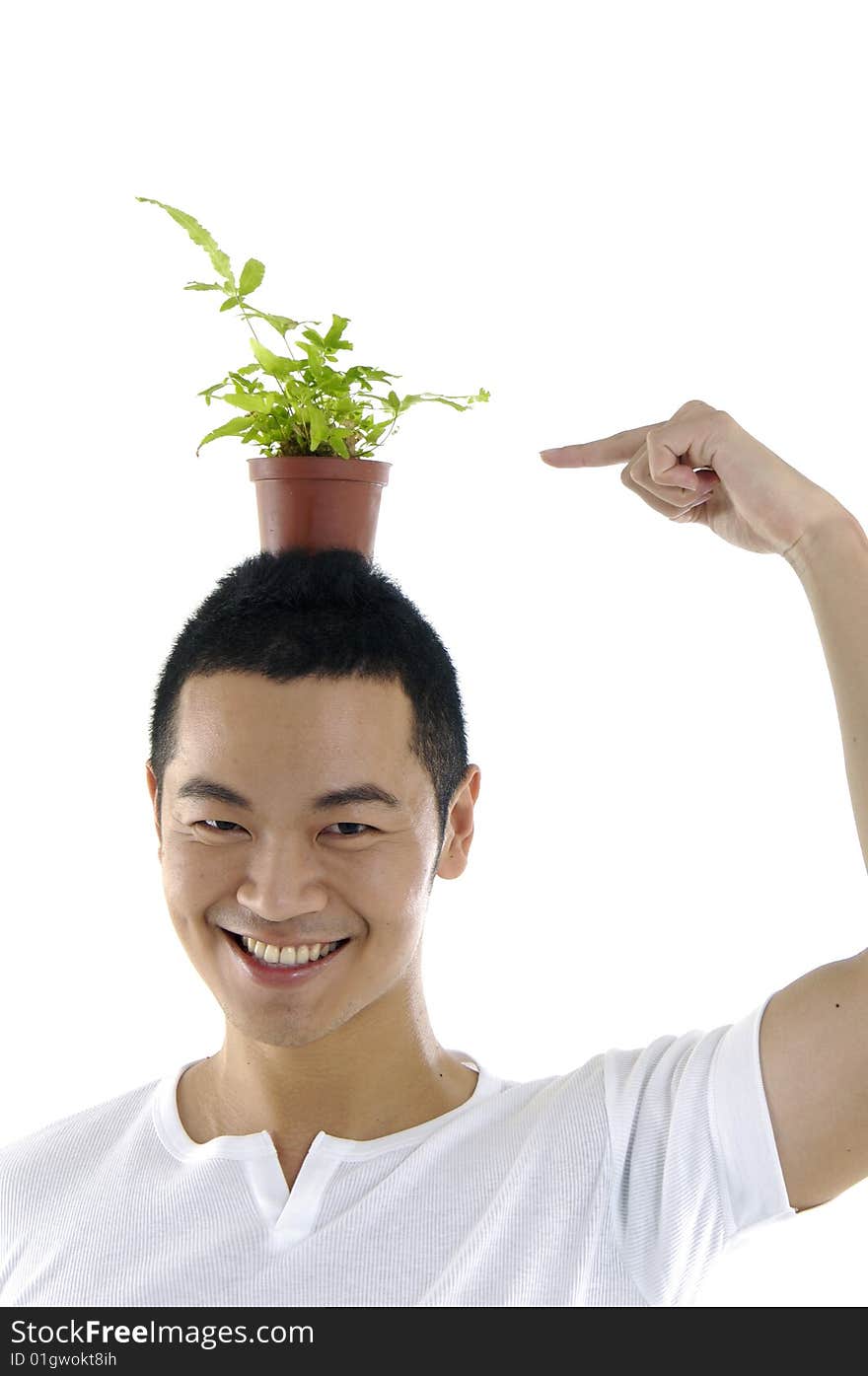 Close up of man with small plant on his head. Close up of man with small plant on his head