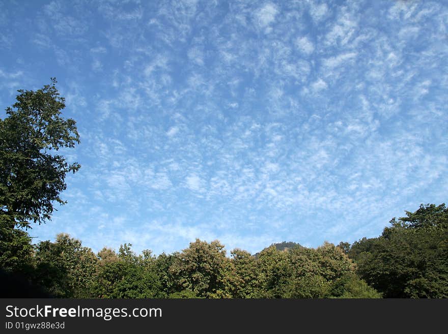 Landscape studded with green trees, blue sky and scattered clouds