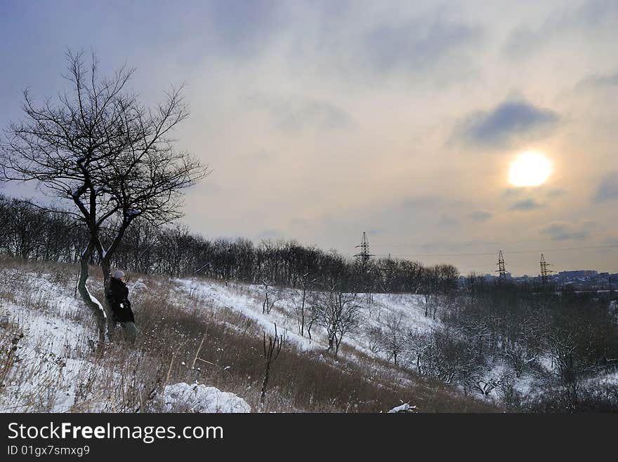 The girl near a tree on sunrise. The girl near a tree on sunrise