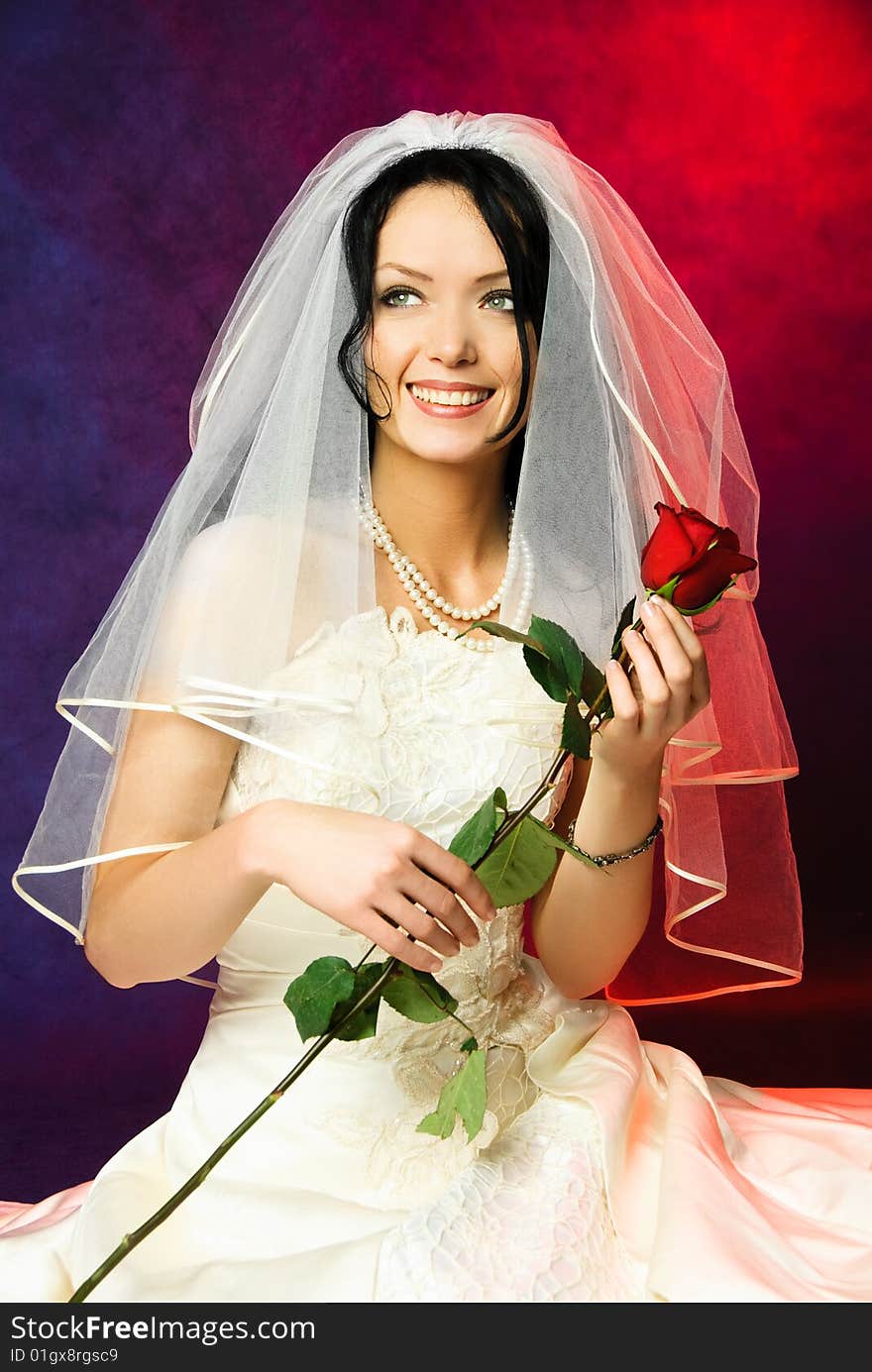 Studio portrait of a beautiful dreamy brunette bride holding a red rose in her hands. Studio portrait of a beautiful dreamy brunette bride holding a red rose in her hands