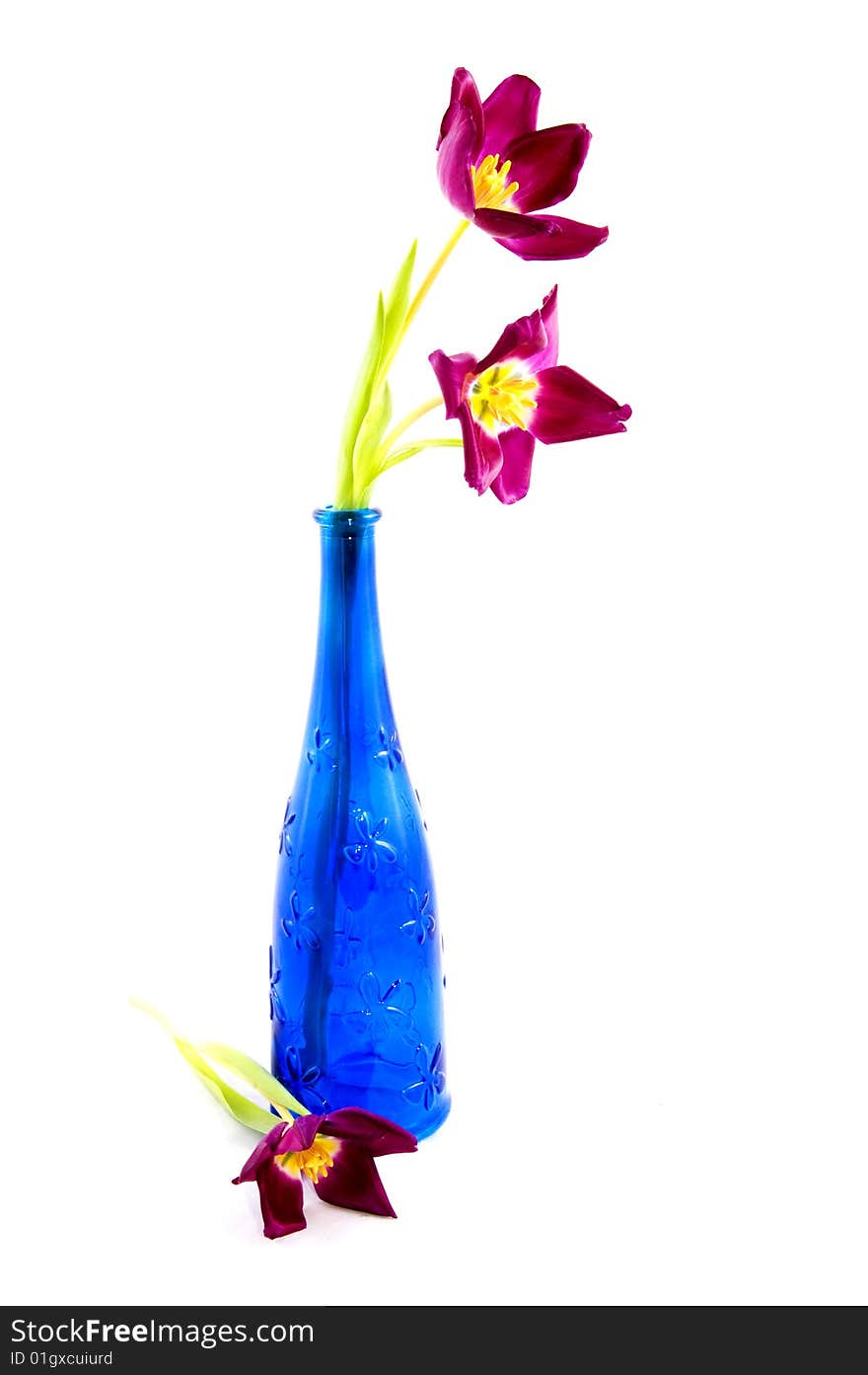 Blue Bottle With Purple Tulips