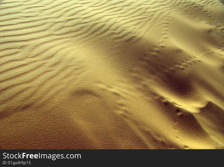 Wind patterns in de the sand dunes