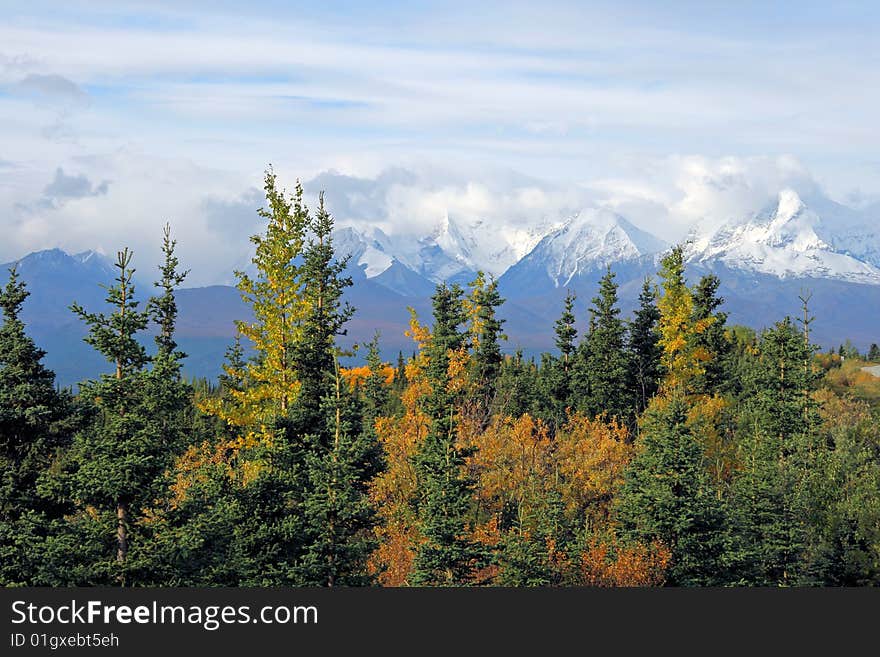 Forest and Mountains cover the Alaskan wilderness. Forest and Mountains cover the Alaskan wilderness