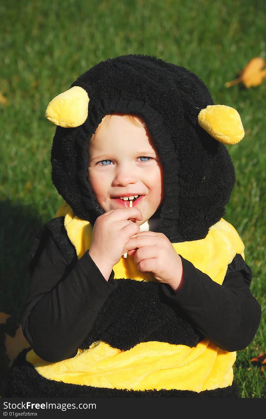 Little girl dress as bee sitting on the grass with sweets. Little girl dress as bee sitting on the grass with sweets.