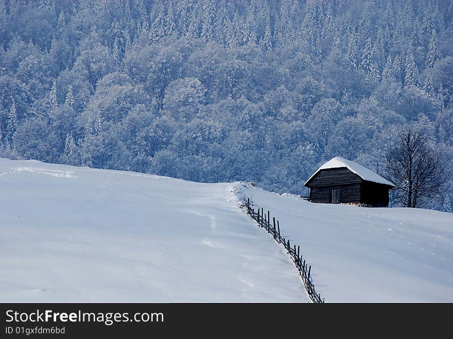 Winter landscape;Trees and house in winter on a background of snow covered trees