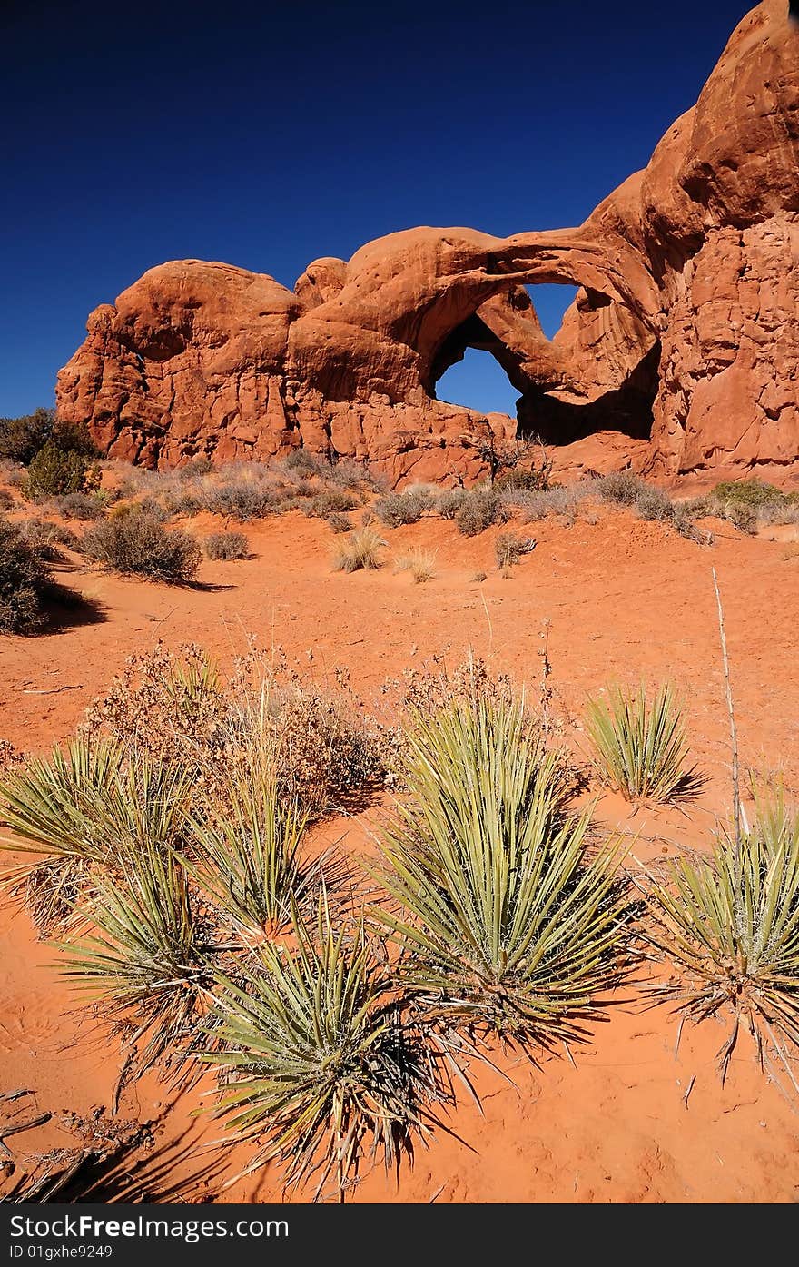 Rocky desert landscape with cactus in the foreground and double arch at Arches National Park