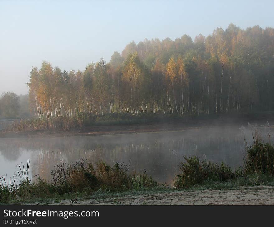 Misty, wild nature morning