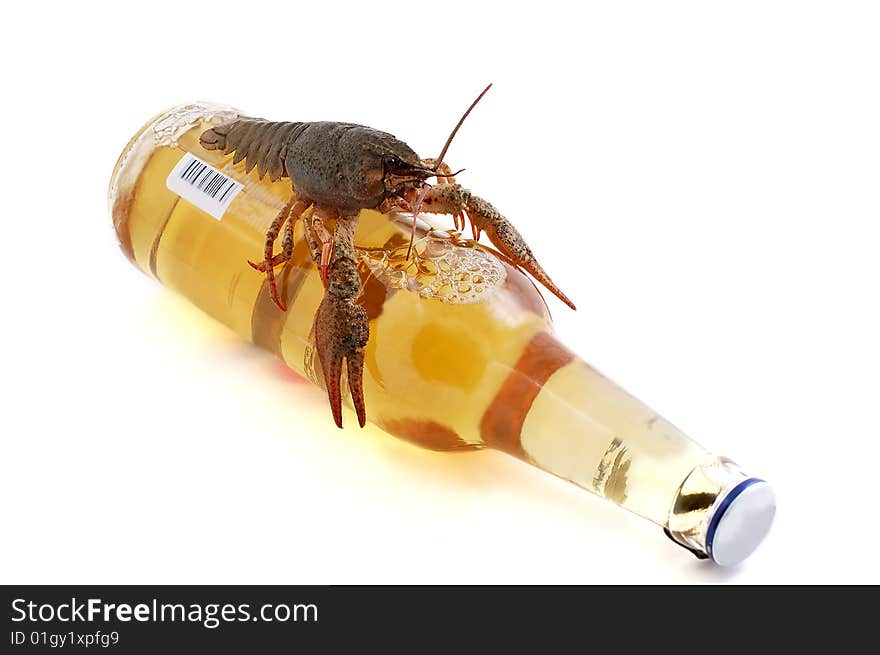 Lobster on a bottle on a white background. Lobster on a bottle on a white background