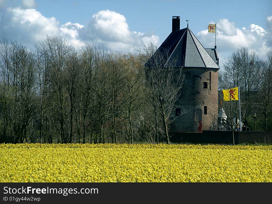 Mediaeval Castle And  Flowering Daffodils