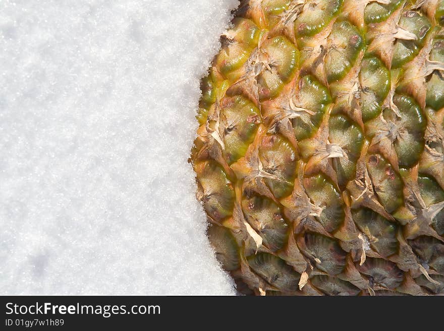 Frozen Pineapple. Shot on a snow background.