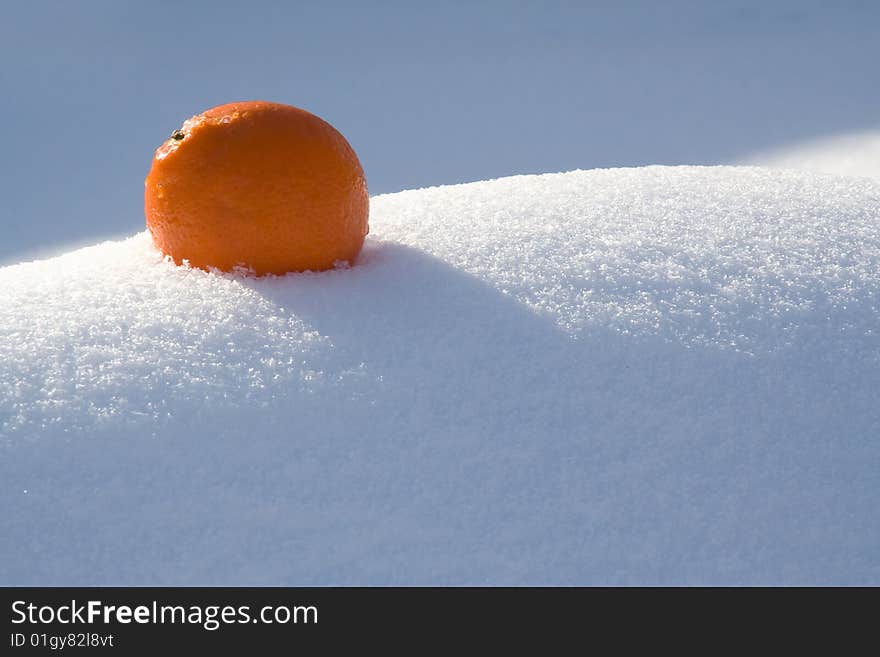 Shining orange on a white snow background