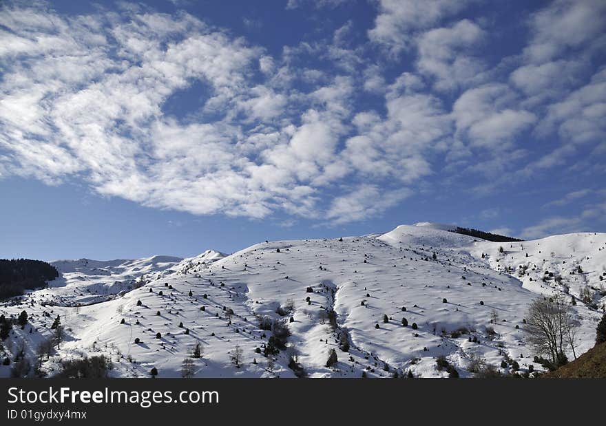 Winter landscape