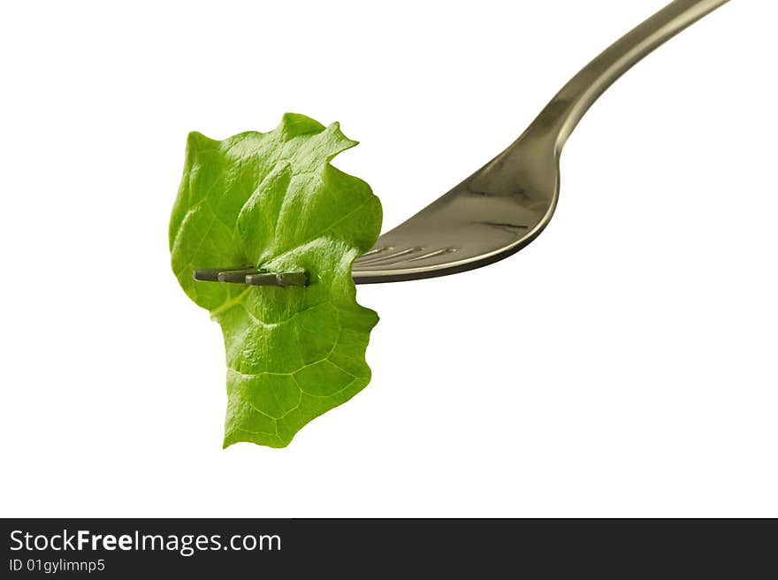 Healthy fresh piece of lettuce on fork. Isolated on white background. Healthy lifestyle and dieting!