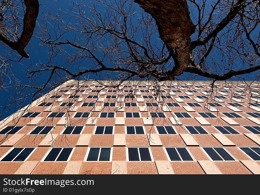 Building, tree and sky