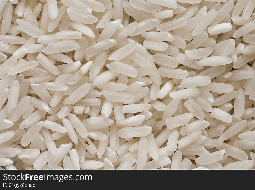 Rice closeup