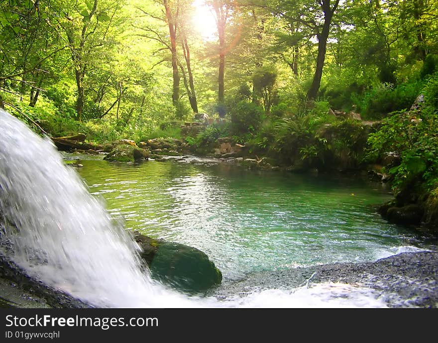 Lonely lake inside of a wood