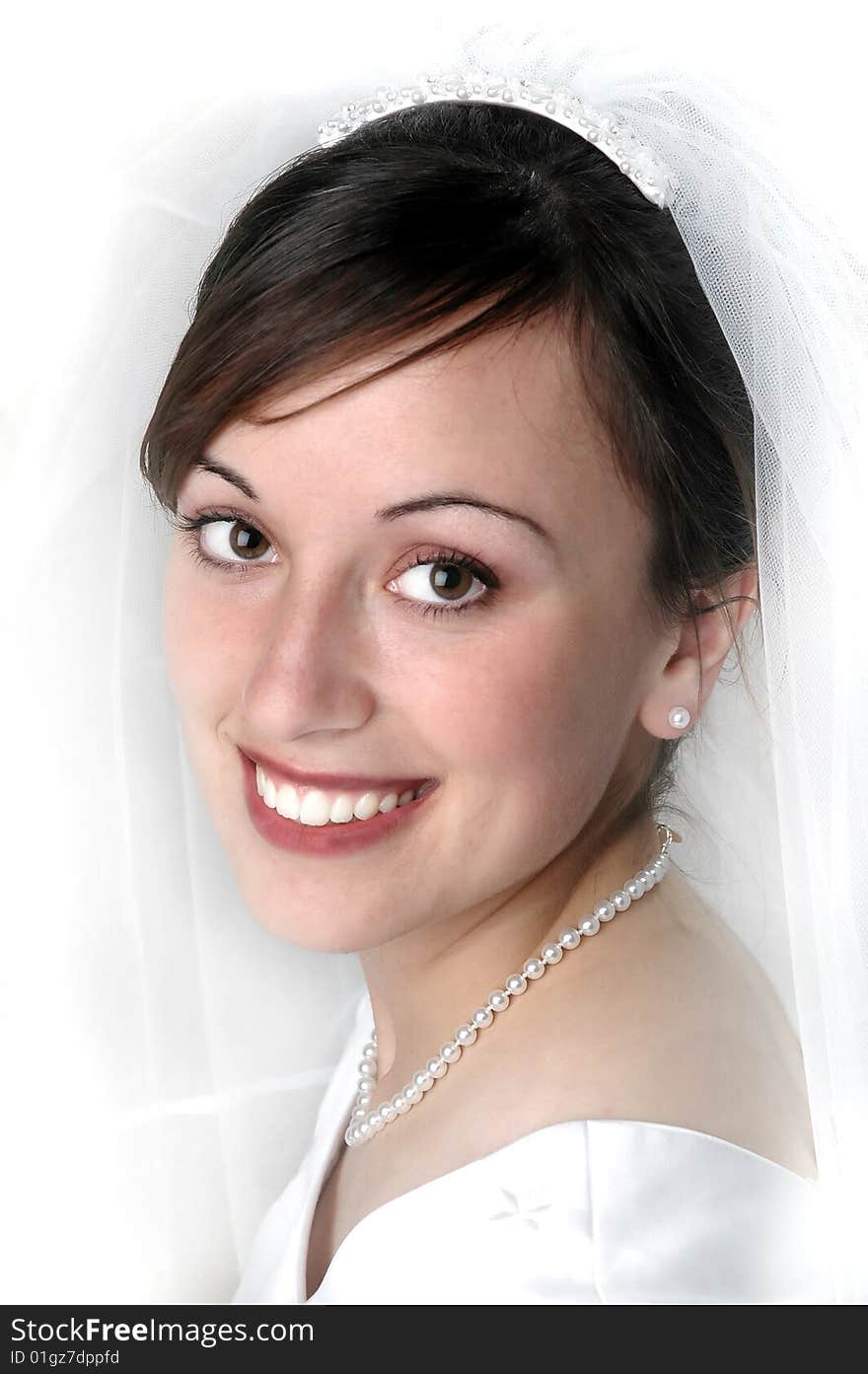 Portrait of bride on wedding day with veil. Portrait of bride on wedding day with veil